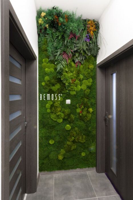 Stena z rastlín – rezidenčný projekt