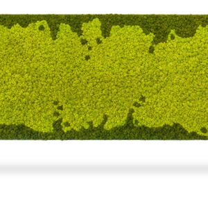 zelená plocha s bielym okrajom a zelená plocha s bielym okrajom a zelená plocha s bielym okrajom a zelená plocha s bielym okrajom, environmentálne umenie , machovy obraz, stabilizovany mach, machová stena, machová dekorácia