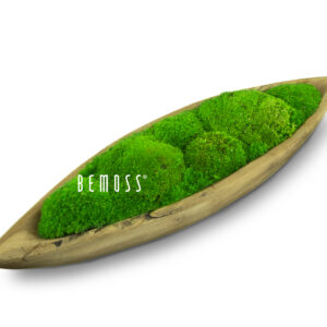 zelený list s machom je zobrazený na bielom pozadí so slovom bliss napísaným bielou farbou, ekologické umenie , machovy obraz, stabilizovany mach, machová stena, machová dekorácia