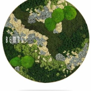 obrázok zelenobielej rastliny so slovom bemuss v tvare kruhu, environmentálne umenie , machovy obraz, stabilizovany mach, machová stena, machová dekorácia
