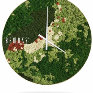 hodiny s povrchom pokrytým machom a nápisom bemuss na ciferníku v bielom ráme, environmentálne umenie , machovy obraz, stabilizovany mach, machová stena, machová dekorácia