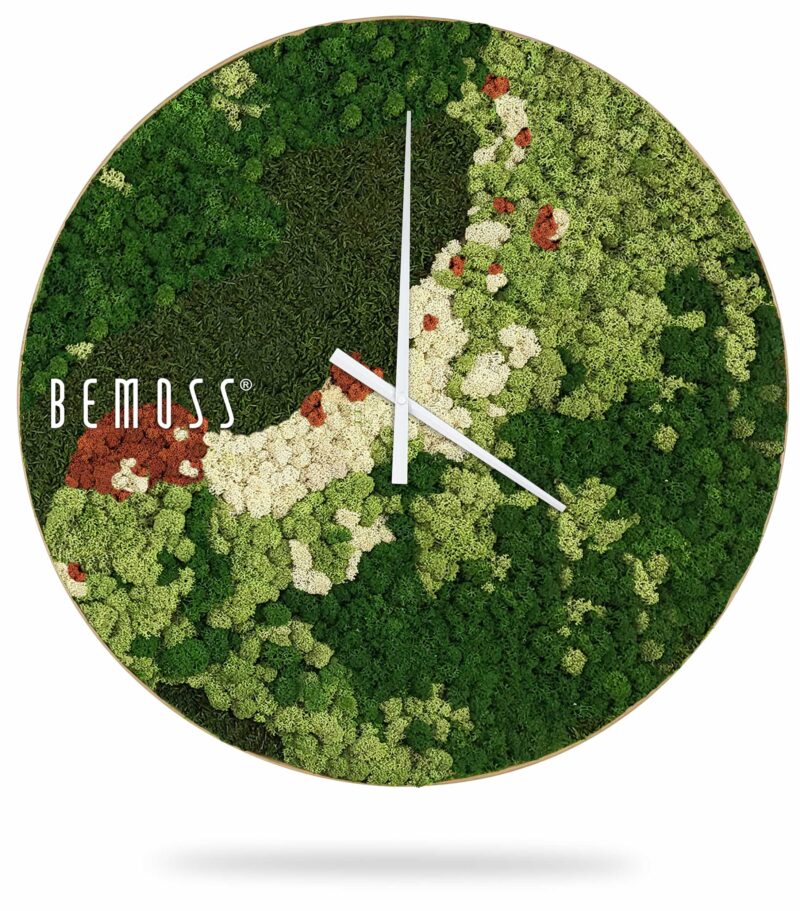 hodiny s povrchom pokrytým machom a nápisom bemuss na ciferníku v bielom ráme, environmentálne umenie , machovy obraz, stabilizovany mach, machová stena, machová dekorácia