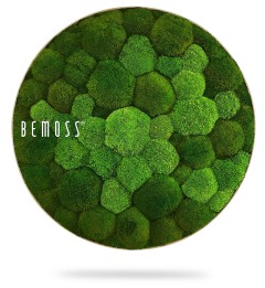 Kruh bolmoss duo natural green