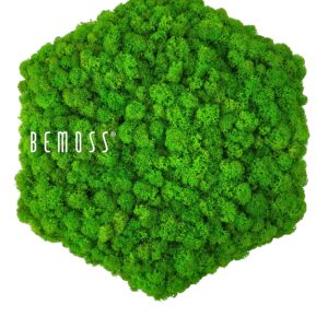 zelený strom so slovom byť machom na boku a bielym pozadím s bielym textom pod ním, environmentálne umenie , machovy obraz, stabilizovany mach, machová stena, machová dekorácia
