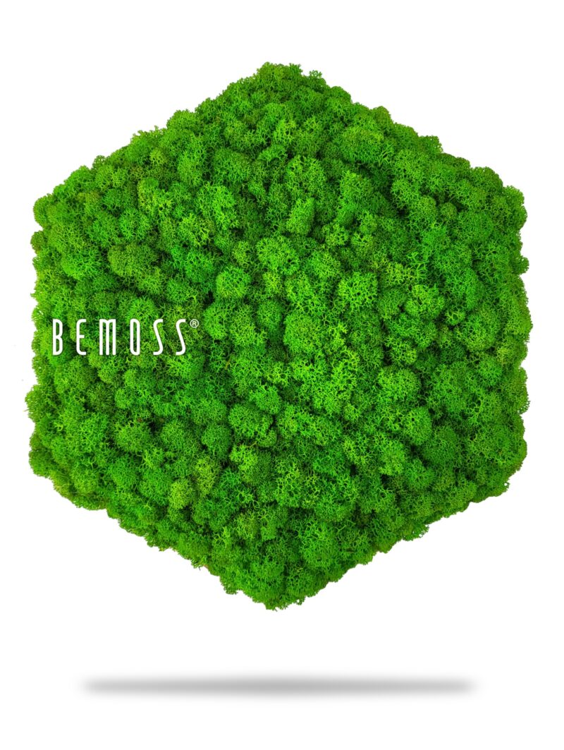 zelený strom so slovom byť machom na boku a bielym pozadím s bielym textom pod ním, environmentálne umenie , machovy obraz, stabilizovany mach, machová stena, machová dekorácia