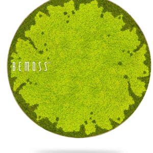 zelený kruh, na ktorom je bielym písmom napísané slovo bemos na bielom pozadí s tieňom, environmentálne umenie , machovy obraz, stabilizovany mach, machová stena, machová dekorácia