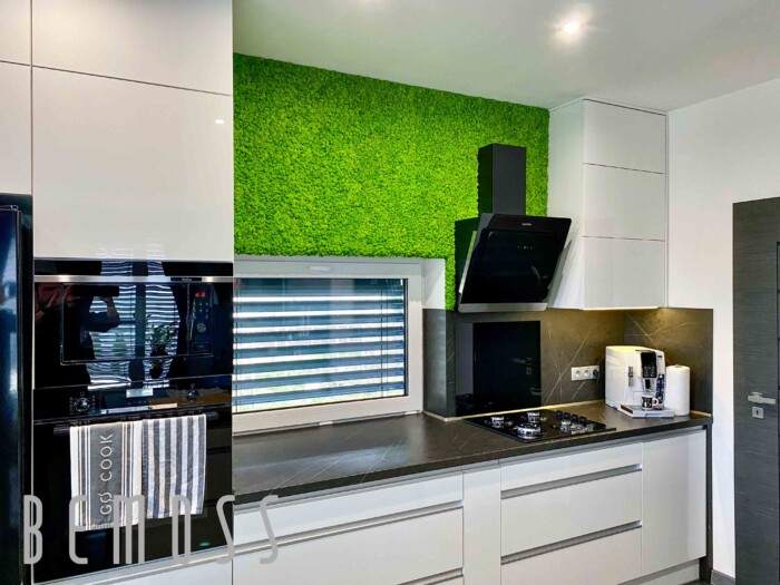 Green in kitchen