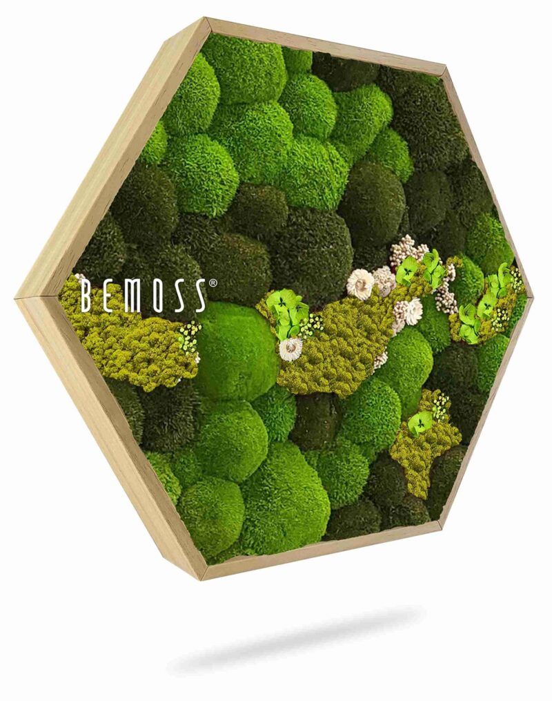 Machový Hexagon BOLMOSS COSMO Lime