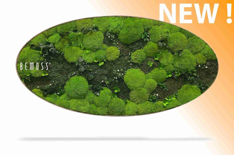 Machový obraz Elipsa RASTLINY Kyrin