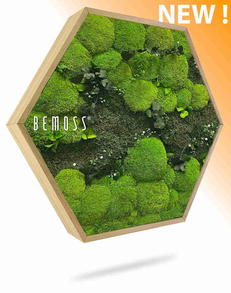 Machový Hexagon RASTLINY Kyrin