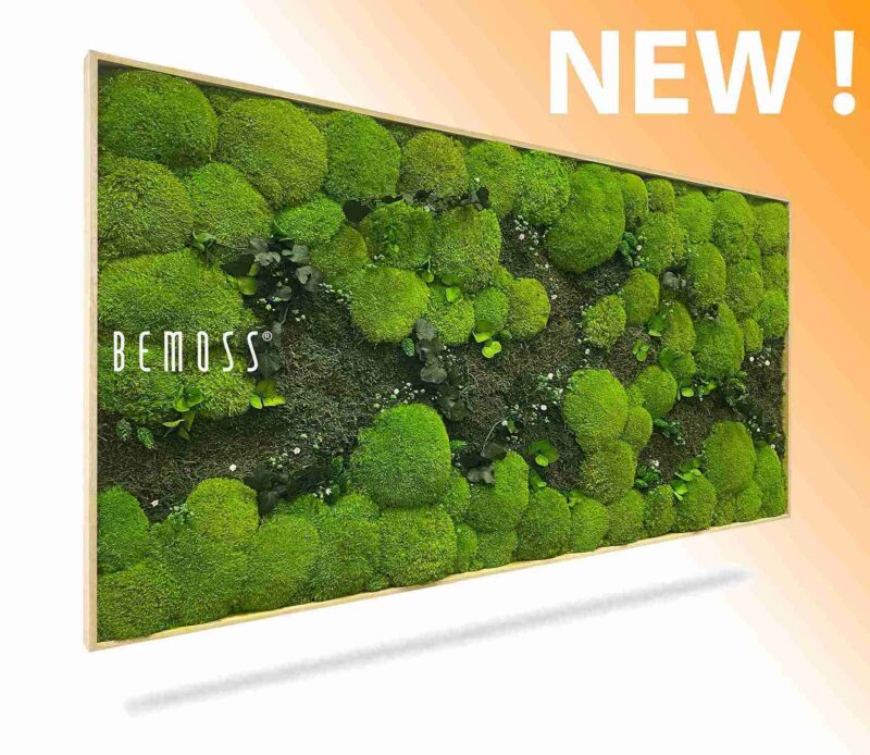 Machový obraz RASTLINY Kyrin