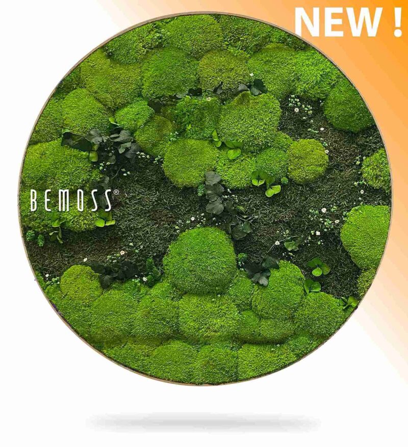 Machový obraz kruh RASTLINY Kyrin