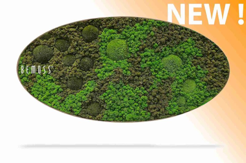 Machový obraz Elipsa BEMOSS® ORTHO ASEL