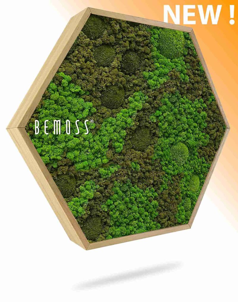 Machový Hexagon BEMOSS® ORTHO ASEL