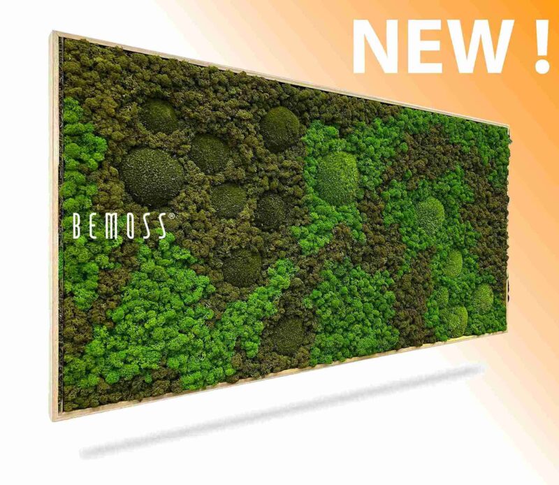 Machový obraz BEMOSS® ORTHO ASEL