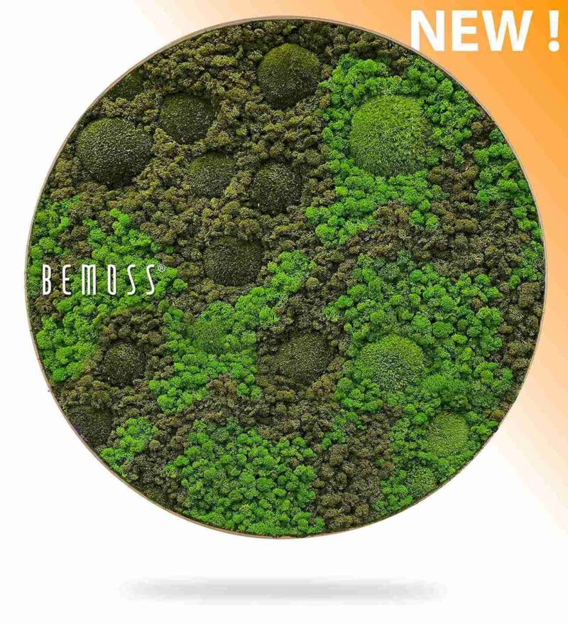 Machový obraz kruh BEMOSS® ORTHO ASEL