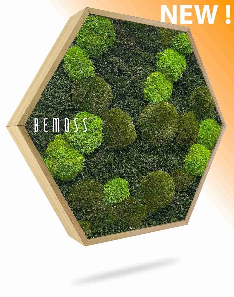 Machový Hexagon FLATMOSS & BOLMOSS Doven mono