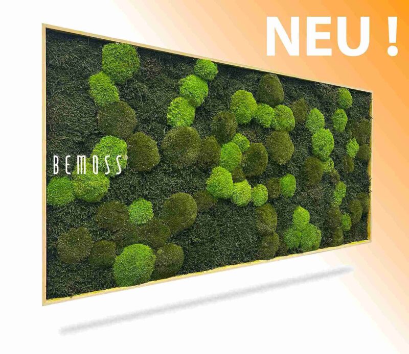 Machový obraz FLATMOSS & BOLMOSS Doven mono