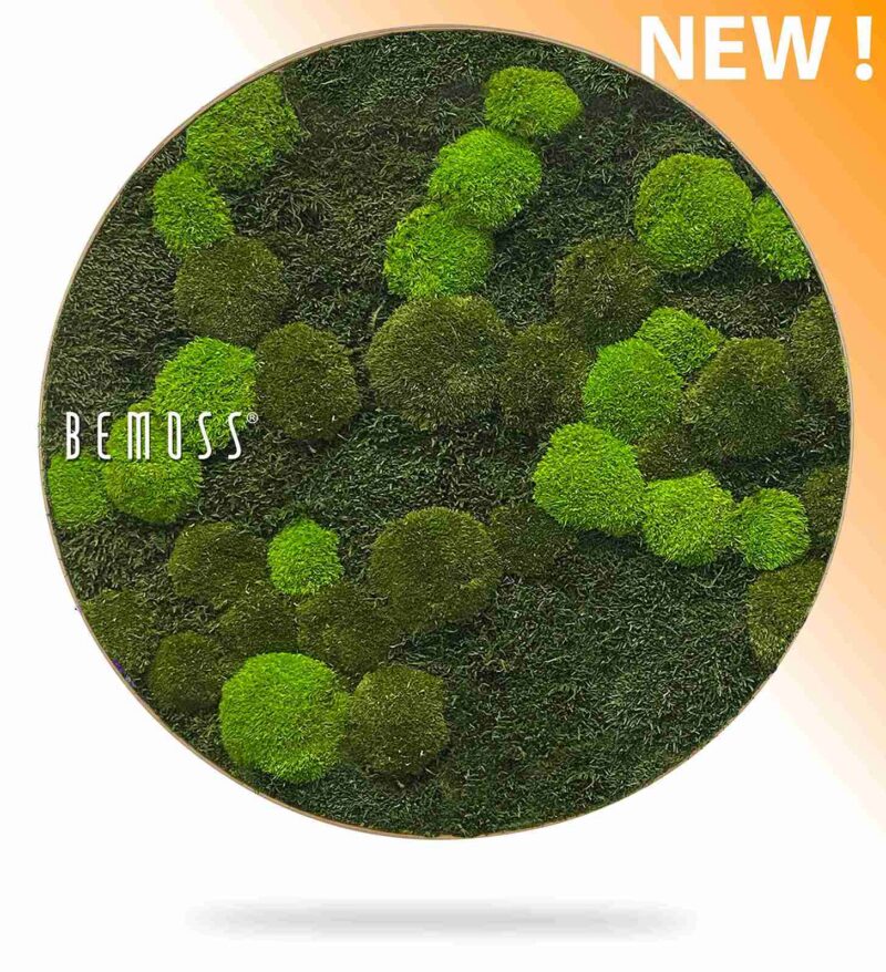 Machový obraz kruh FLATMOSS & BOLMOSS Doven mono