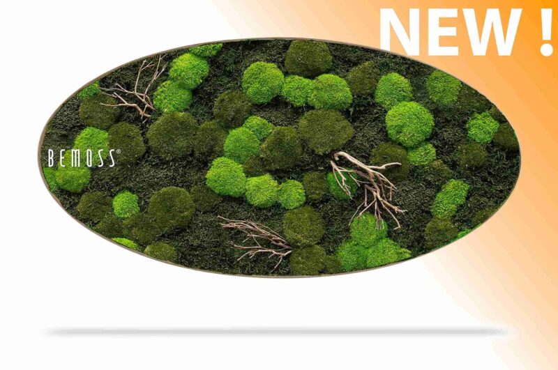 Machový obraz Elipsa FLATMOSS & BOLMOSS Doven WOOD