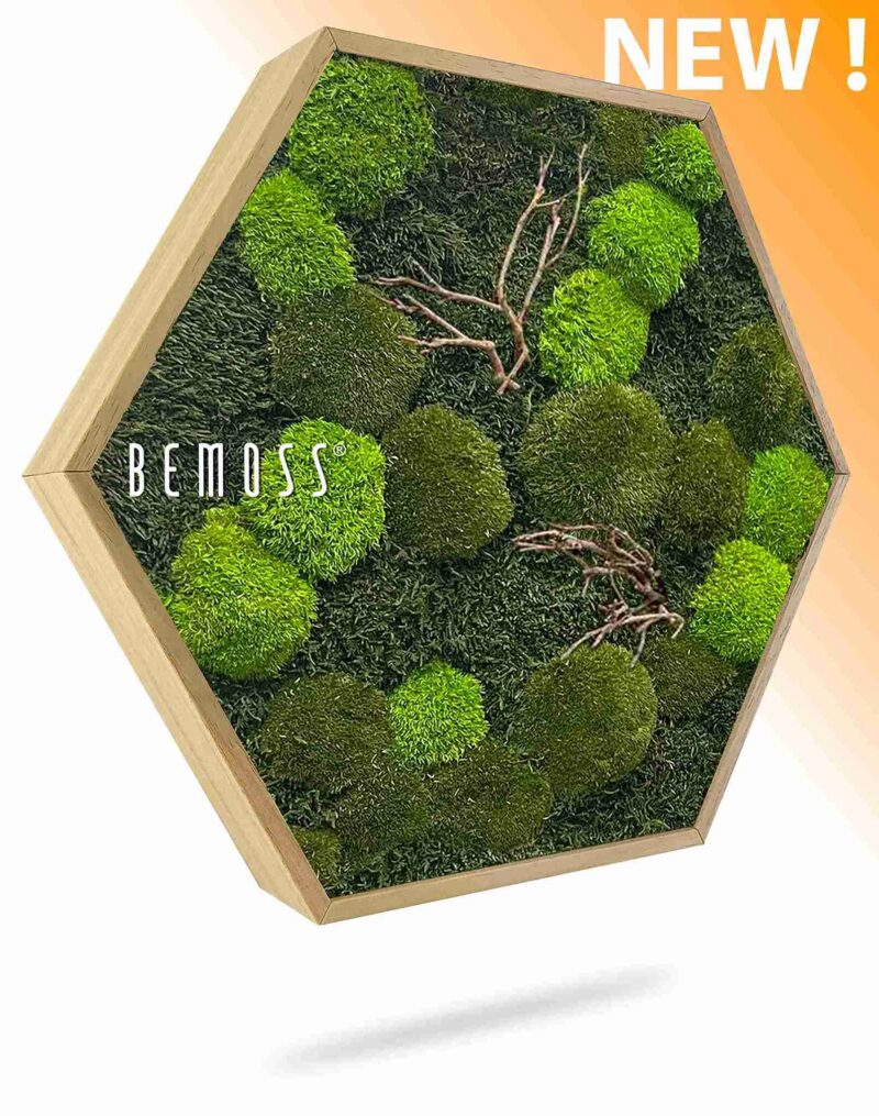 Machový Hexagon FLATMOSS & BOLMOSS Doven WOOD