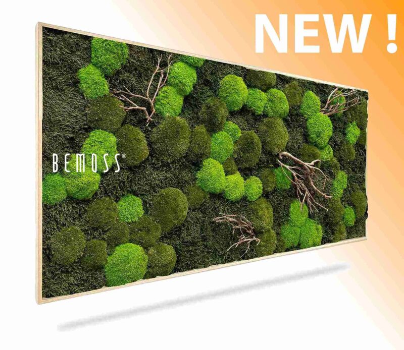 Machový obraz FLATMOSS & BOLMOSS Doven WOOD