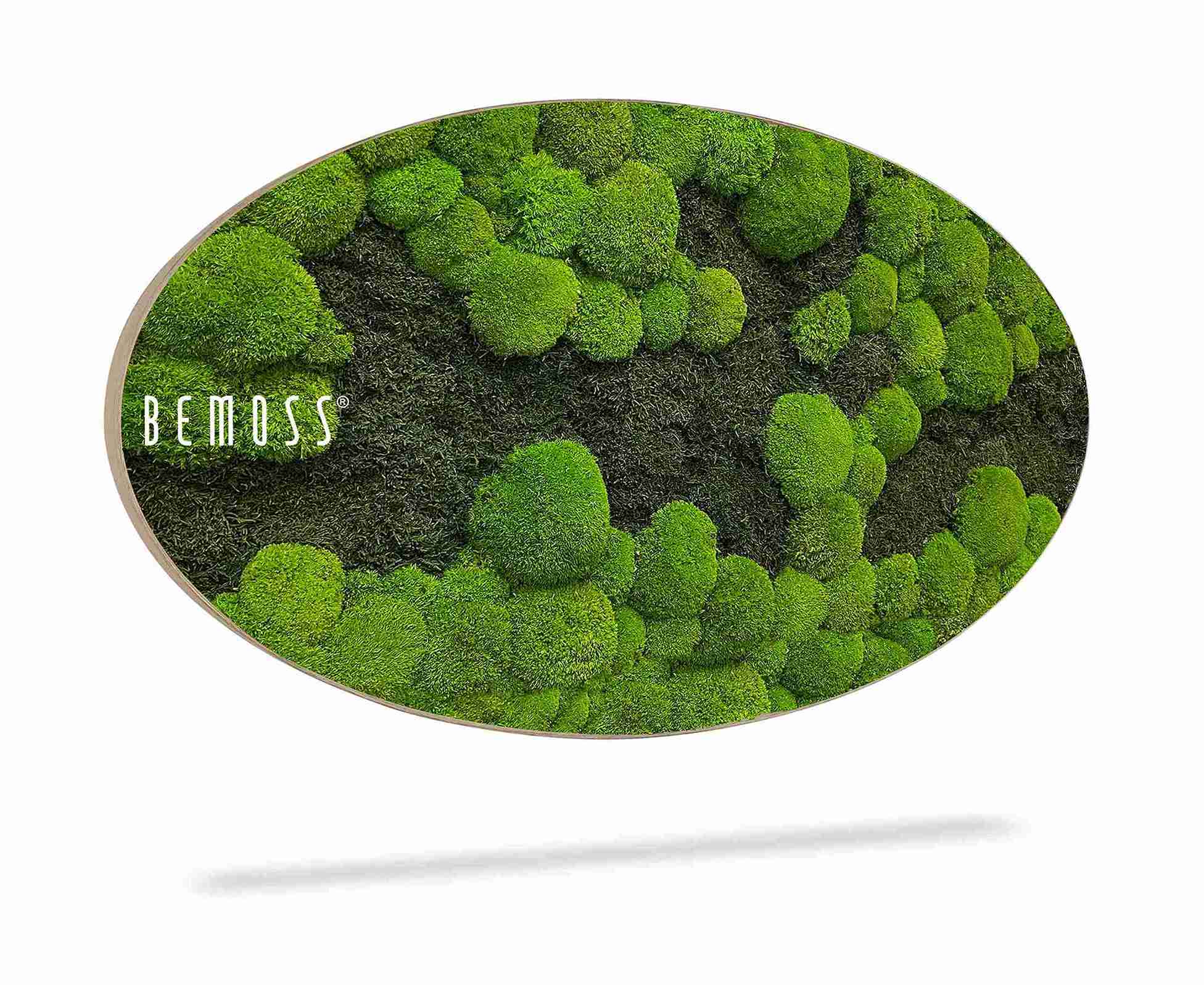 Machový obraz Elipsa FLATMOSS&BOLMOSS DUO Light Green – Obrázok 2