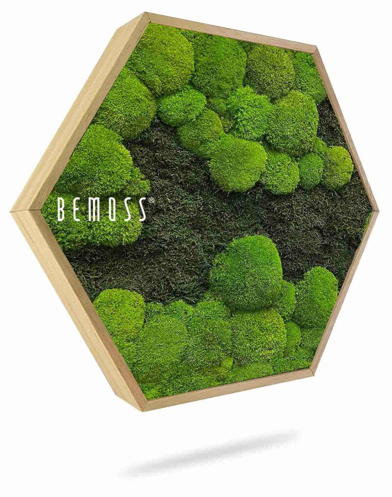 Machový Hexagon FLATMOSS&BOLMOSS DUO Light Green