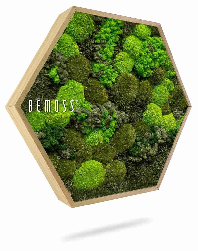 Machový Hexagon BEMOSS® ORTHO DOVEN