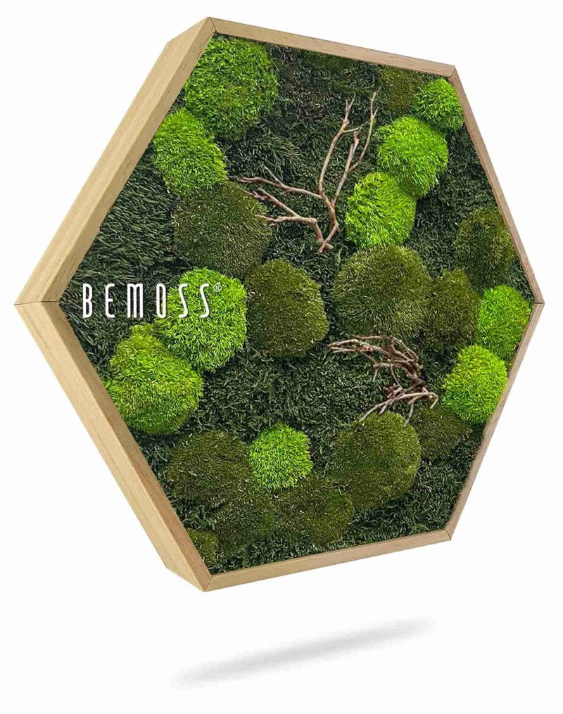 Machový Hexagon FLATMOSS & BOLMOSS Doven WOOD