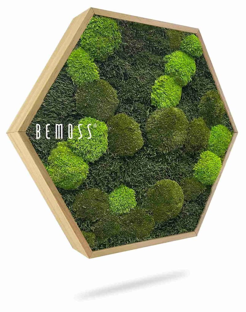 Machový Hexagon FLATMOSS & BOLMOSS Doven mono