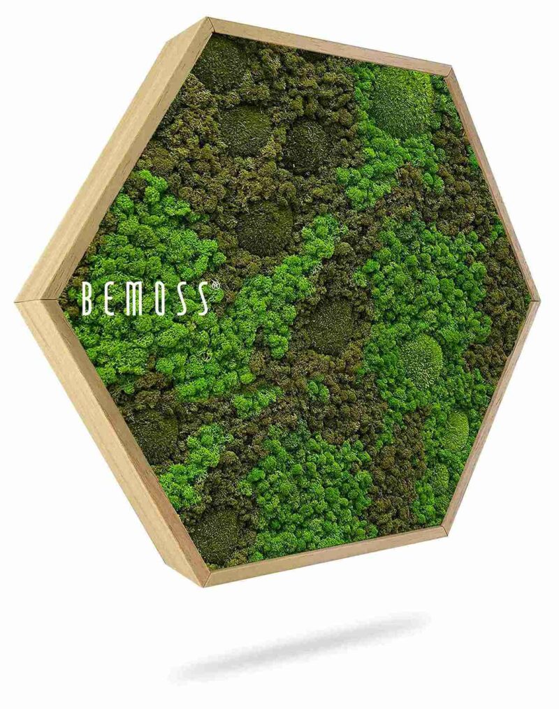 Machový Hexagon BEMOSS® ORTHO ASEL