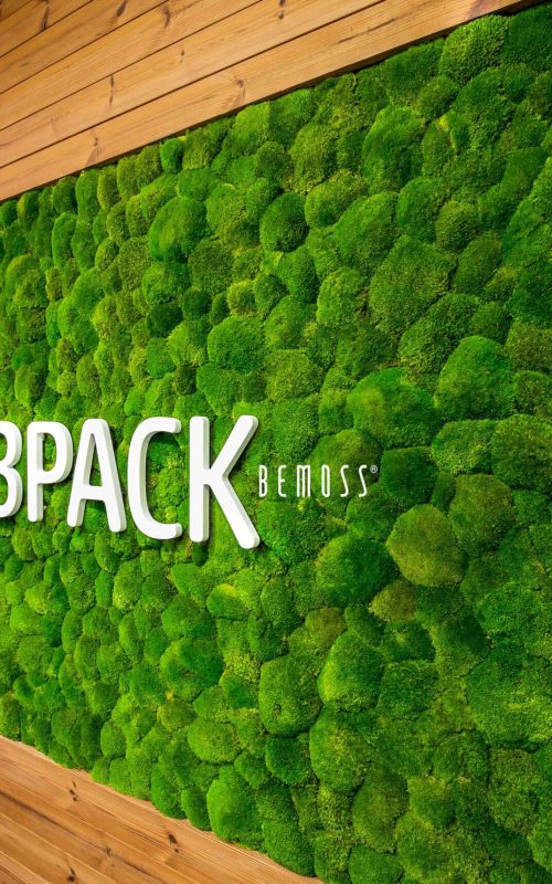 stena s machovou rastlinou a logom s nápisom 3pack fitness, environmentálne umenie , machovy obraz, stabilizovany mach, machová stena, machová dekorácia