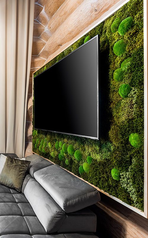 obývačka s gaučom a TV s plochou obrazovkou na stene, na ktorej rastie mach, a gauč pred ňou, environmentálne umenie , machovy obraz, stabilizovany mach, machová stena, machová dekorácia