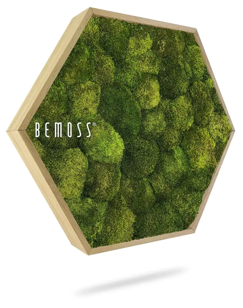 Machový Hexagon SIBERIAN