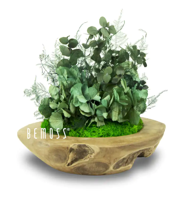 Machové dekorácie na stôl