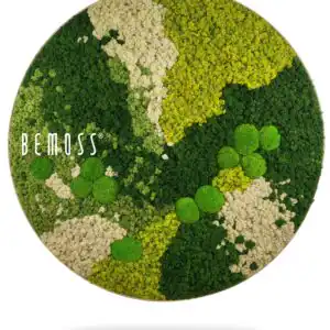 okrúhly obrázok so zelenou rastlinou na boku a slovom pod ním napísanými bielymi písmenami, environmentálne umenie , machovy obraz, stabilizovany mach, machová stena, machová dekorácia