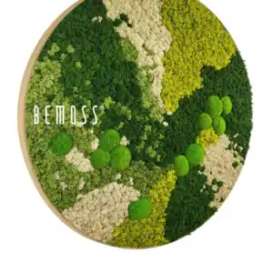 okrúhly obrázok s machom a slovom s nápisom bemuss bielymi písmenami na zelenom pozadí, environmentálne umenie , machovy obraz, stabilizovany mach, machová stena, machová dekorácia