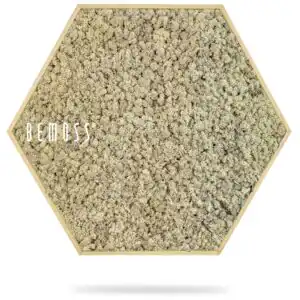 šesťuholníkový objekt s bielym pozadím a bielym pozadím so slovom pod ním, ktoré znie buď veselo machovy obraz, stabilizovany mach, machová stena, machová dekorácia