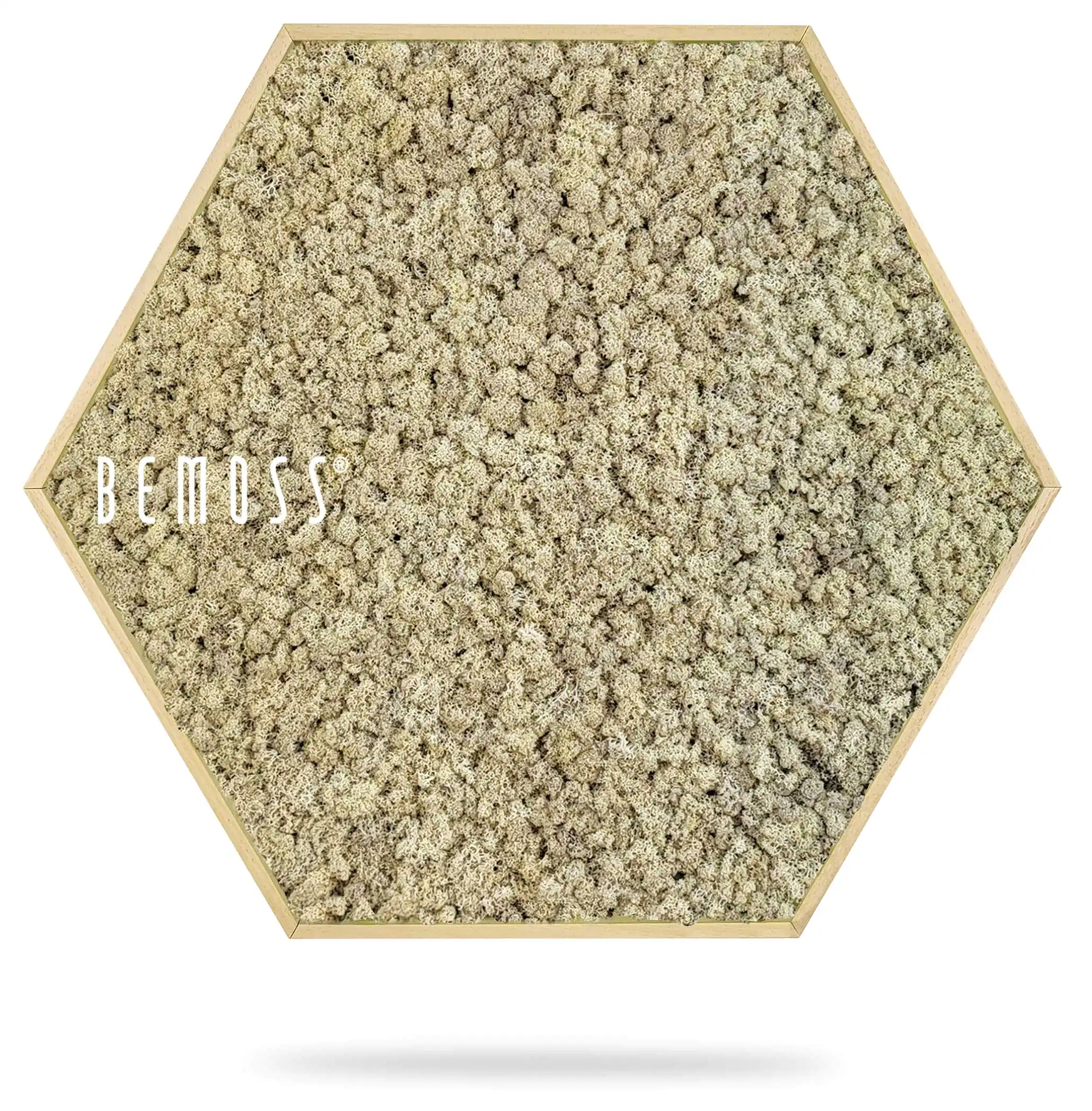 šesťuholníkový objekt s bielym pozadím a bielym pozadím so slovom pod ním, ktoré znie buď veselo machovy obraz, stabilizovany mach, machová stena, machová dekorácia