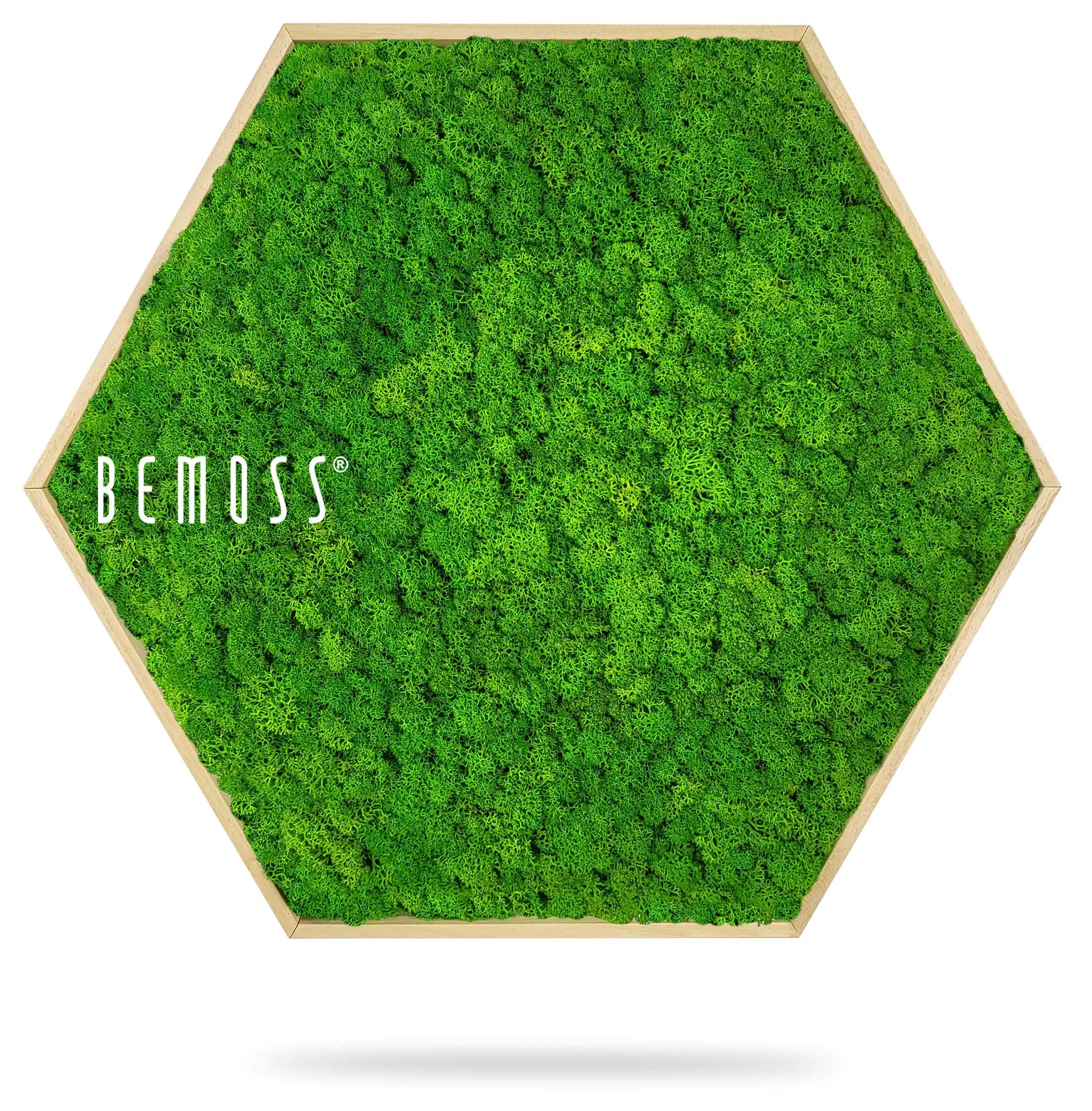 zelená stena s nápisom buď machom a v pozadí obrázok stromu so šesťhranným rámom, environmentálne umenie , machovy obraz, stabilizovany mach, machová stena, machová dekorácia