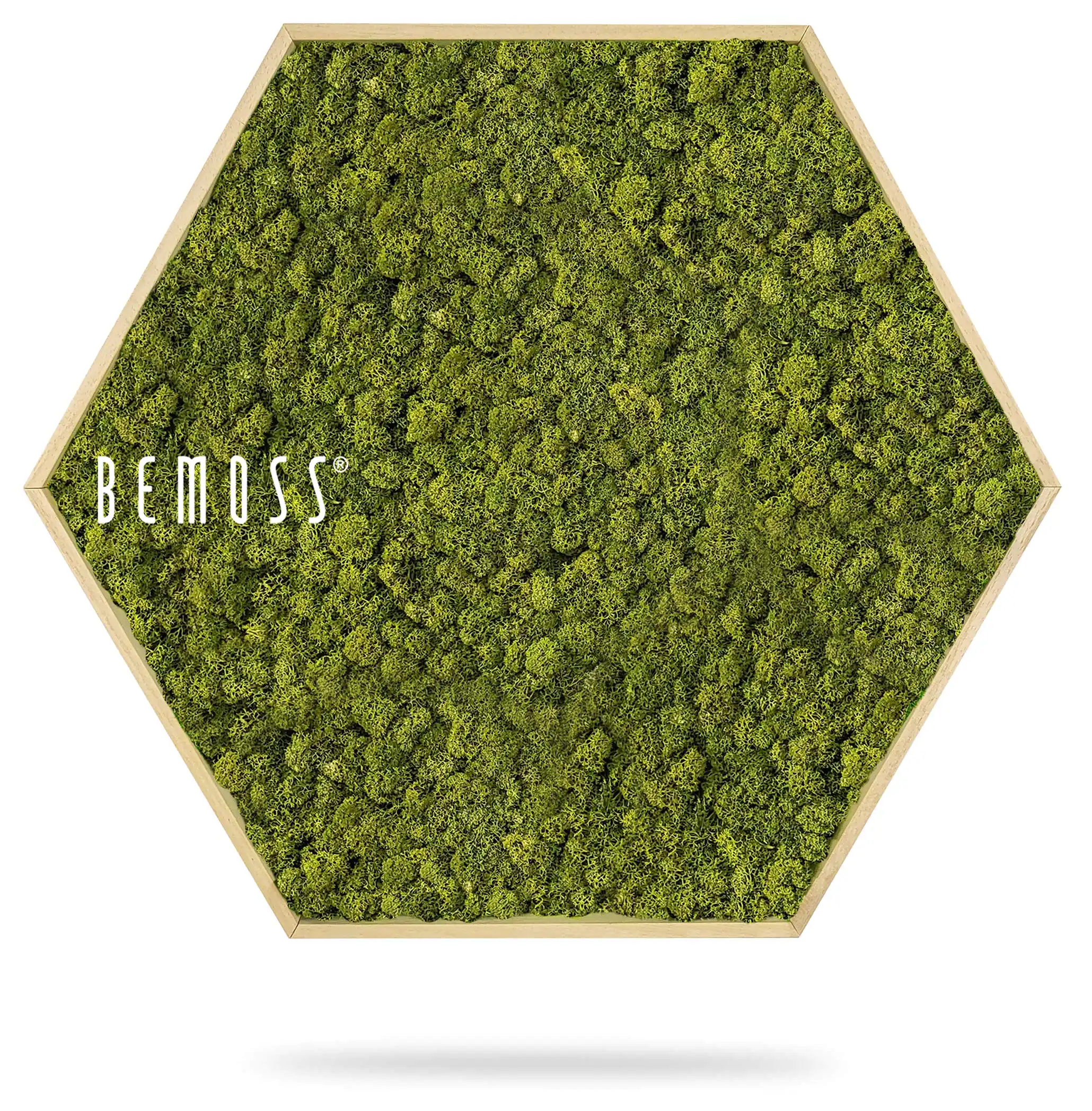 zelená stena s nápisom buď machom a v pozadí obrázok lesa so šesťhranným rámom, environmentálne umenie , machovy obraz, stabilizovany mach, machová stena, machová dekorácia