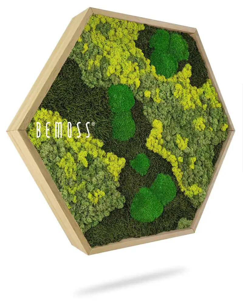 Machový Hexagon BEMOSS® ORTHO LIME