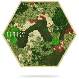 zeleno-biela plocha so zelenou rastlinou a nápisom buď mach nad ňou v šesťhrannom ráme, environmentálne umenie , machovy obraz, stabilizovany mach, machová stena, machová dekorácia