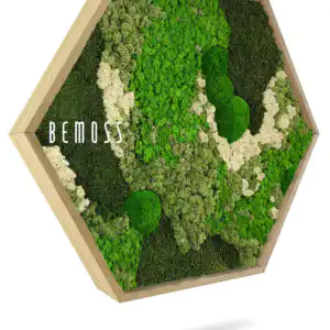 machový hexagon ortho green