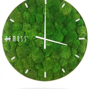 Machové hodiny BOLMOSS Light s ciferníkom