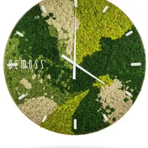 hodiny s machom sú zobrazené na bielom pozadí s nápisom mach v bielom ráme, environmentálne umenie , machovy obraz, stabilizovany mach, machová stena, machová dekorácia