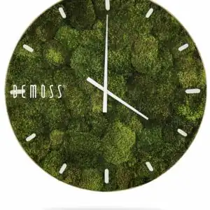 hodiny, na ktorých rastie mach, na ktorých je bielymi písmenami na ciferníku nápis mech machovy obraz, stabilizovany mach, machová stena, machová dekorácia