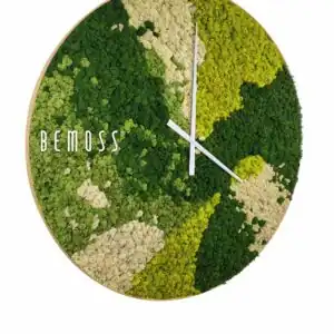 Machové hodiny BEMOSS® ORTHO SPRING - Thumbnail Image 3