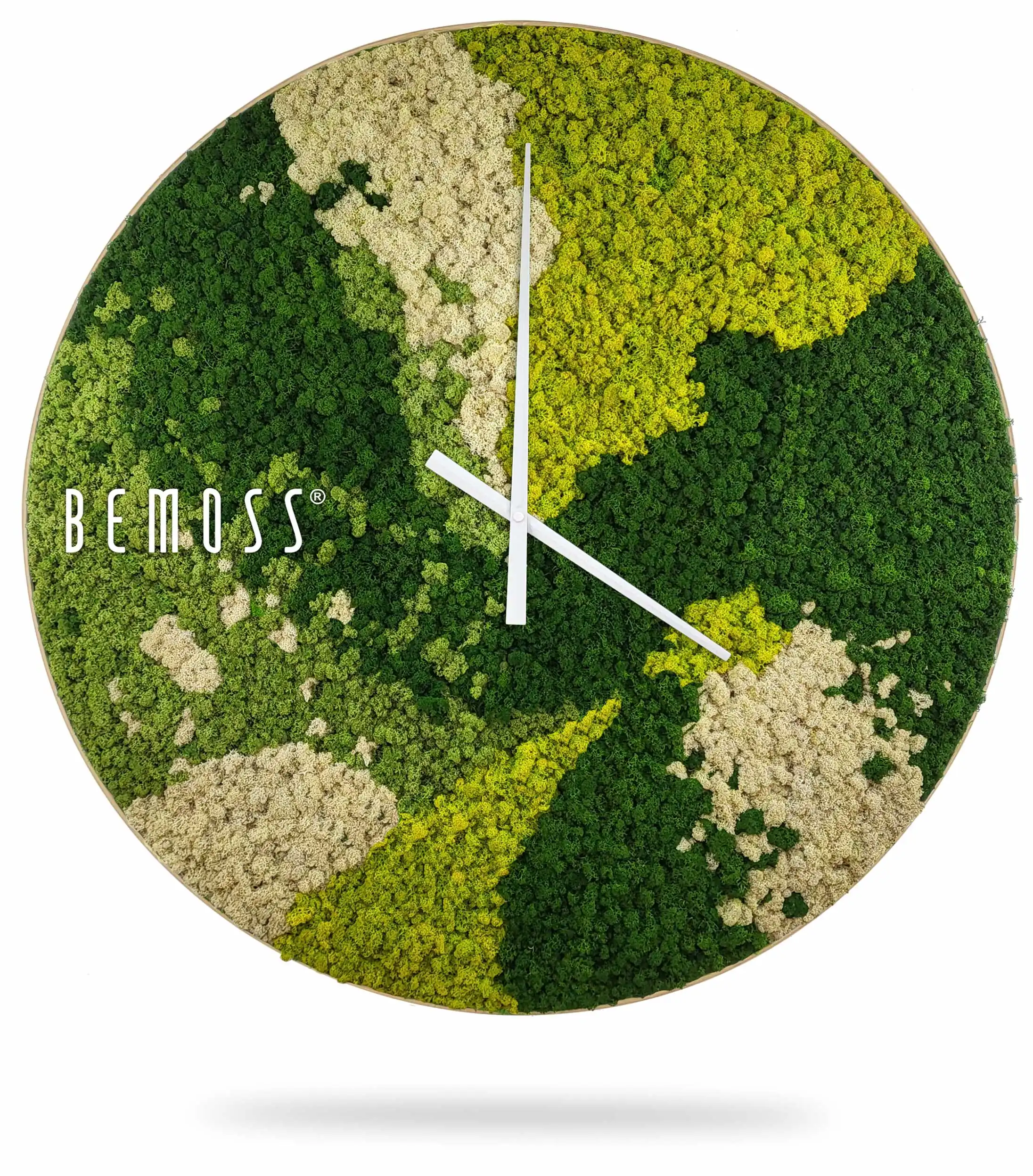hodiny, na ktorých rastie mach s nápisom bemoss na ciferníku a bielym pozadím, environmentálne umenie , machovy obraz, stabilizovany mach, machová stena, machová dekorácia